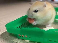 -筑味小厨坊(宣武门外东大街社区店)