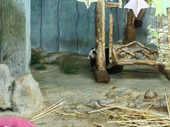 -海南热带野生动植物园