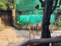 -长鹿旅游休博园