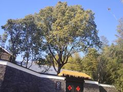 -南山风景名胜区