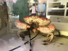 -悉尼鱼市场