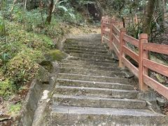 -广州白江湖森林公园