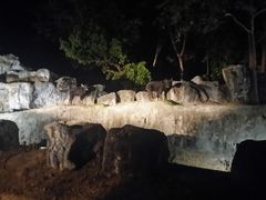 -清迈夜间动物园