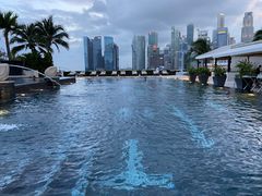 -新加坡文华东方酒店