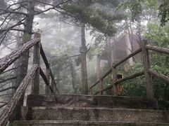 -秦岭天竺山景区