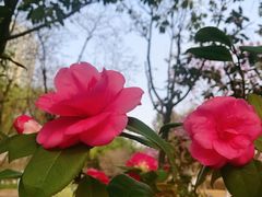 -白塘生态植物园