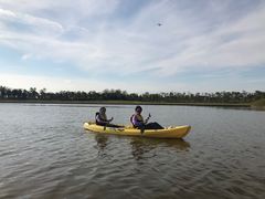 -春花秋色城市公园