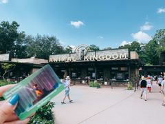 -奥兰多迪士尼动物王国乐园