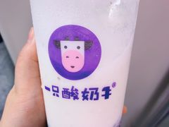 -一只酸奶牛(八一路店)