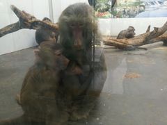 -西安秦岭野生动物园