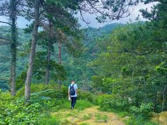 -木兰云雾山