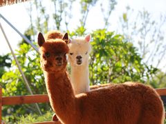 -珠海海泉湾神秘岛亲子乐园