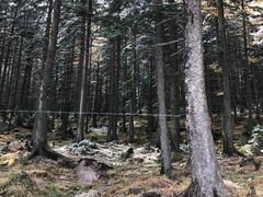 -芦芽山旅游度假区