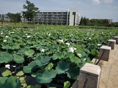 -南京医科大学(江宁校区)