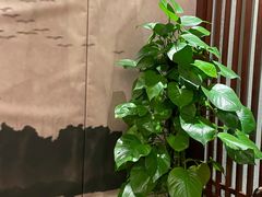 -新长福(星沙店)