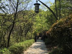 -白马涧龙池景区
