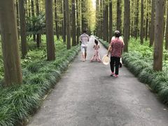 -上海怡沁园度假酒店