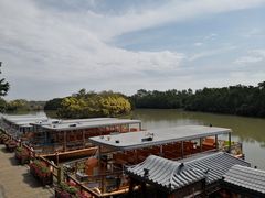 -大湾区中央湿地公园