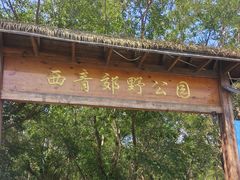 -西青郊野公园