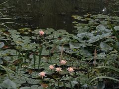 -燕郊植物园