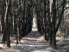 -同里国家湿地公园