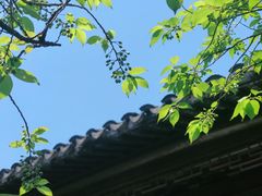 -拙政园