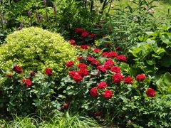 -苏州河梦清园环保主题公园