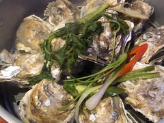 -千岛蚝高压锅生蚝·人参火锅(白云万达店)