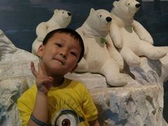 android_upload_pic-济州岛泰迪熊博物馆