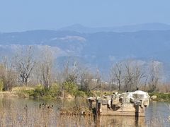-西昌邛海湿地