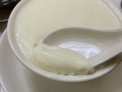 -澳洲牛奶公司(佐敦店)