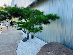 -罗红摄影艺术馆