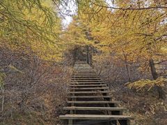 -苏木山森林公园