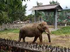 -西安秦岭野生动物园