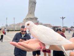 -天津妈祖文化园