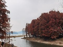-四明湖
