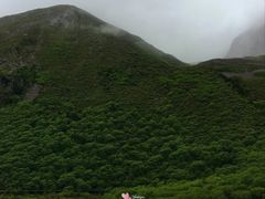 -黄龙山原始森林景区