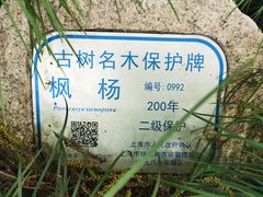 -汇龙潭