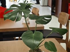 -招商银行(上海张杨支行)