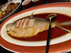 酒酿蒸鲥鱼-上海老饭店(豫园店)