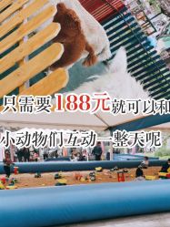 -萌宠亲子动物乐园(槐房万达店)