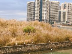 -碧桂园十里银滩