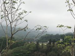 -白石龙音乐公园