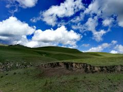 -山丹皇家马场