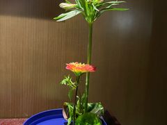 -逸道(益丰·外滩源店)