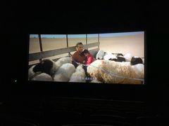-映画影院(信悦汇店)