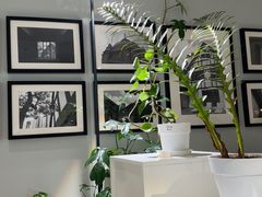 -一尺花园(安和花园店)