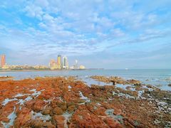 -青岛第一海水浴场