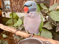 -南宫五洲植物乐园