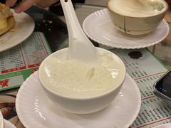 双皮奶-义顺牛奶公司(新马路老店)